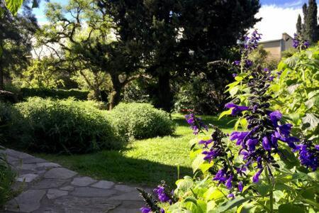 En Casa Con Gran Jardin Homestay